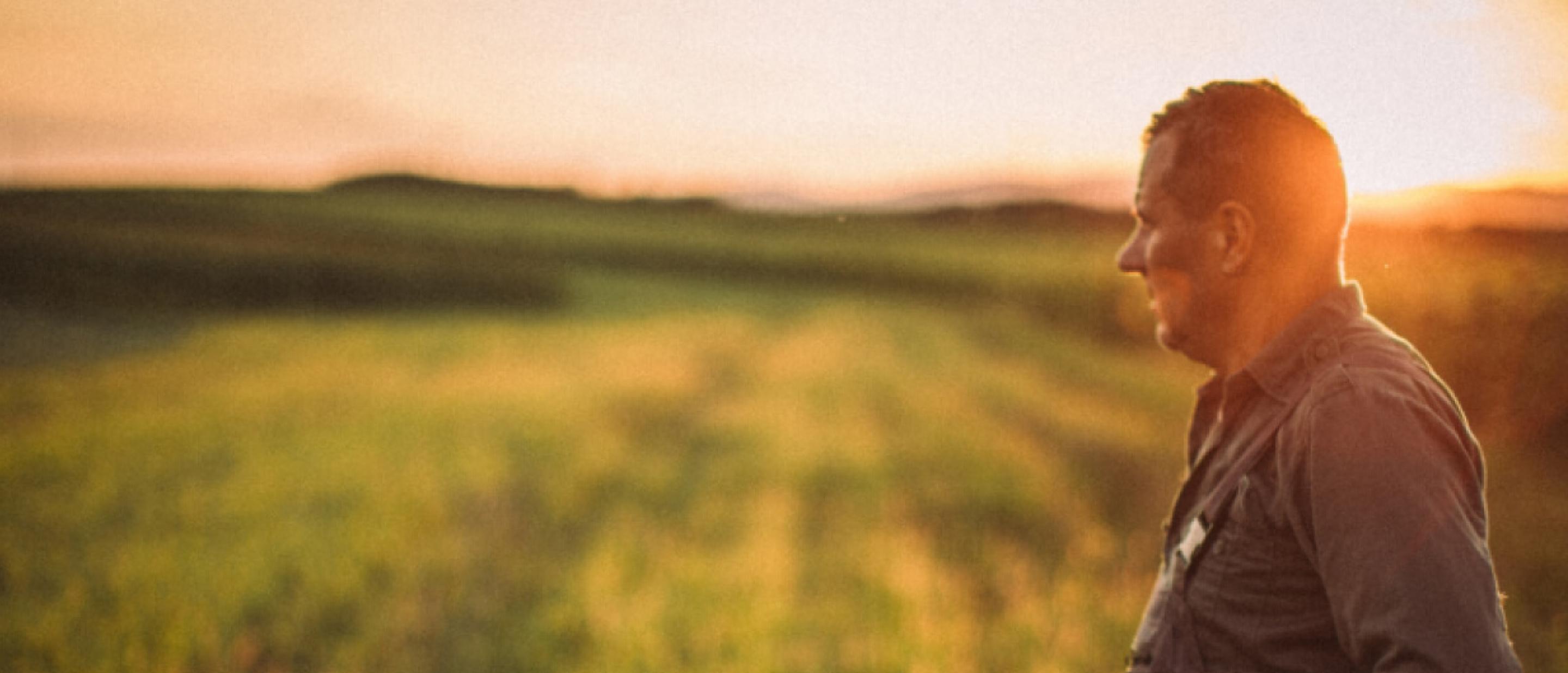 Agrarinė miškininkystė - įrankis suderinti žemės ūkio veiklą ir aplinkosaugą