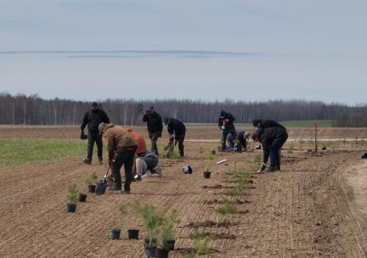 Agromiškininkystės įteisinimas Lietuvoje – būdas padėti tiek ūkininkams, tiek gamtai